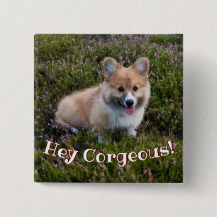 Funny Corgi Puppy Pun Button