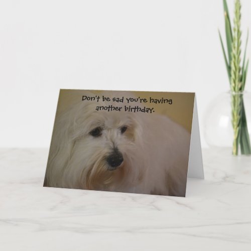 Funny Coton Doggie Years Birthday Card