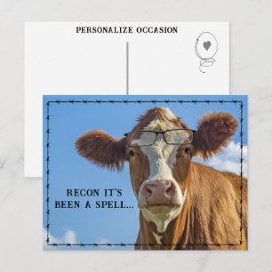Funny Country Cow In Glasses Rustic Western Humor  Holiday Postcard