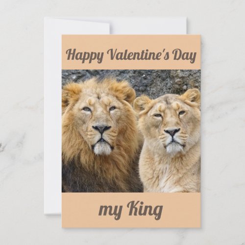 Funny couple lions valentines card