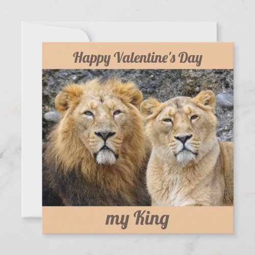 Funny couple lions valentines card