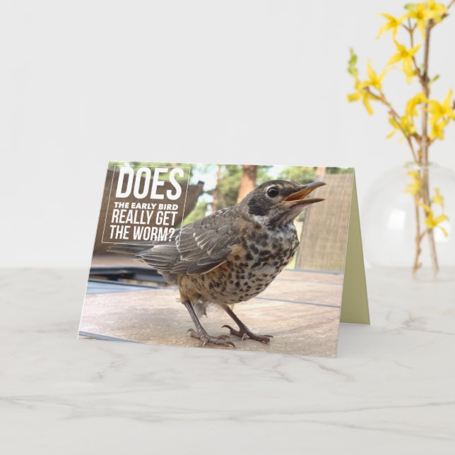 Funny Cover Text Bird Photo Greeting Card (Yellow Flower)