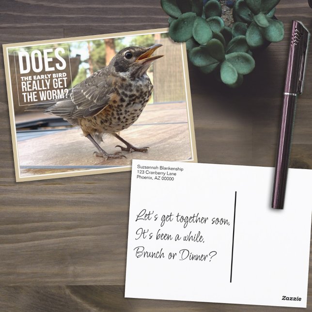 Funny Cover Text Bird Photo  Postcard (Humorous front and template back postcard)