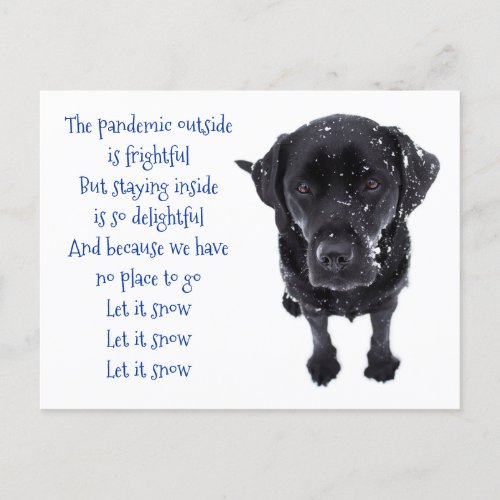 Funny Covid Christmas Quarantine Pandemic Snow Dog Postcard