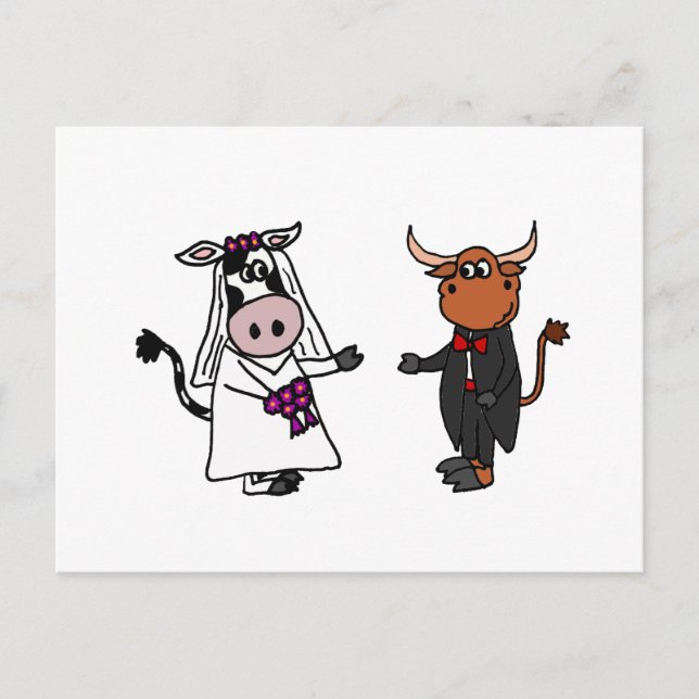 Funny Cow and Bull Wedding Postcard (Front)