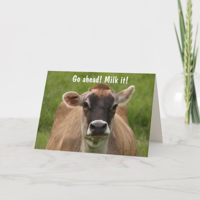Funny Cow Birthday Card (Front)