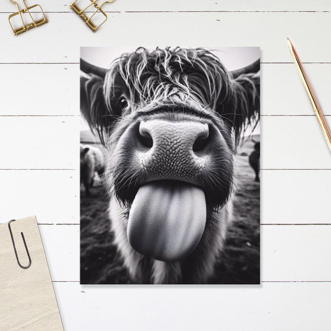 Funny Cow Black and White Postcard (Creator Uploaded)