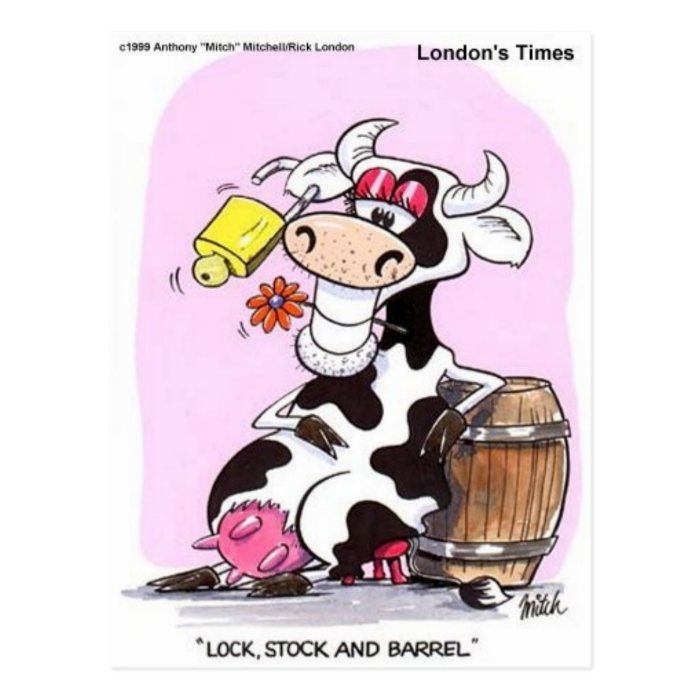 Funny Cow Cartoon Gifts Tees & Collectibles Post Cards