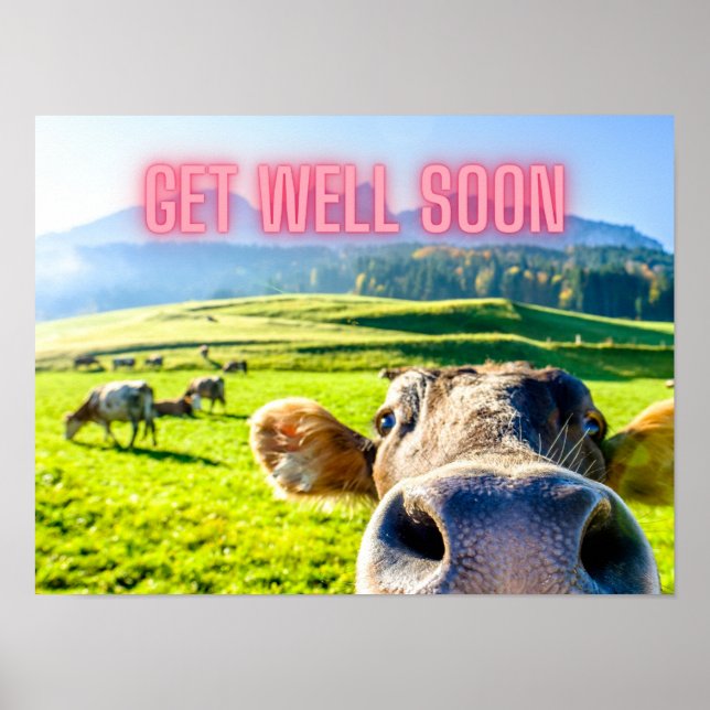 Funny Cow Get Well Soon  Poster (Front)
