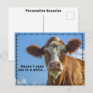 Funny Cow Glasses Ranchers Country Western Tales  Holiday Postcard