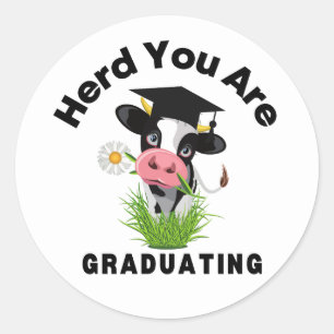 Funny Cow Graduation Sticker