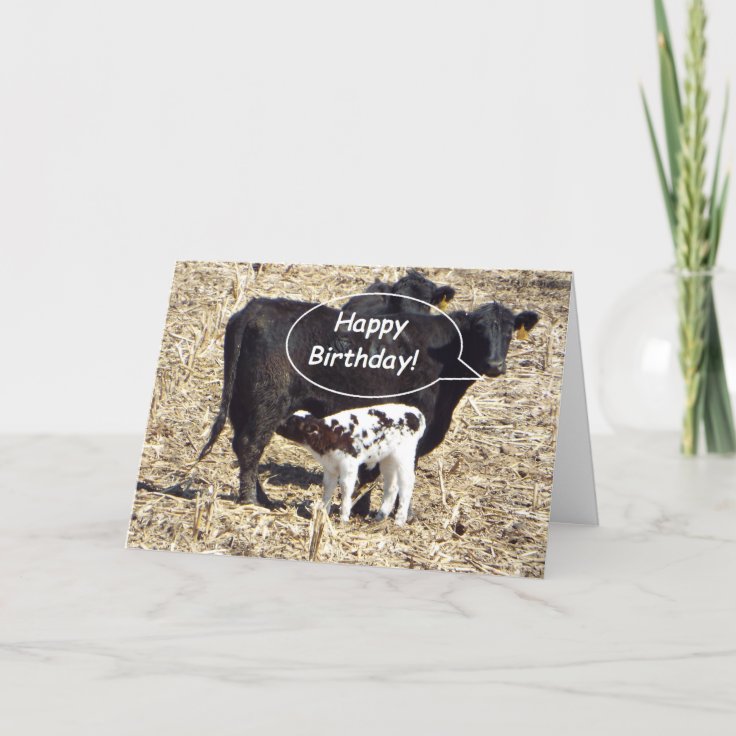 Funny Cow Happy Birthday Card | Zazzle