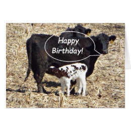 Happy Birthday  Cows  Greeting Cards Zazzle