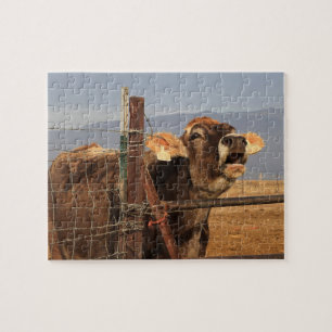 Funny Cow Jigsaw Puzzle