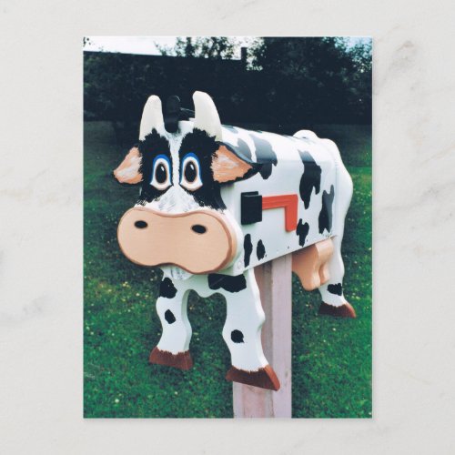 Funny cow mailbox photo postcard