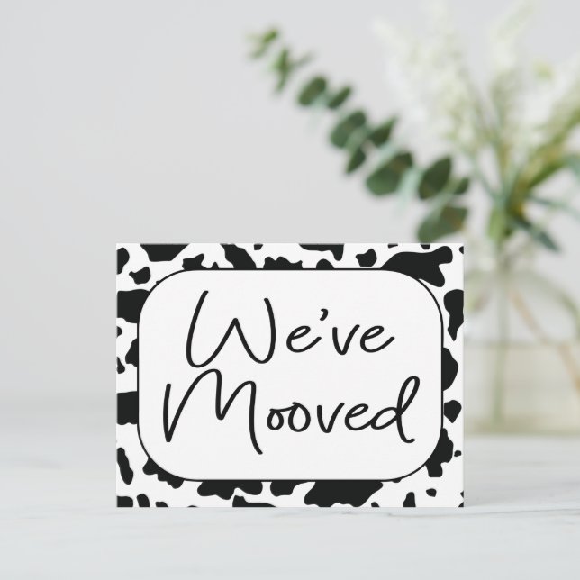 Funny Cow New Home Address We've Moved  Postcard (Standing Front)