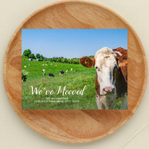 Funny Cow, New House, Custom Address, We've Moved  Postcard