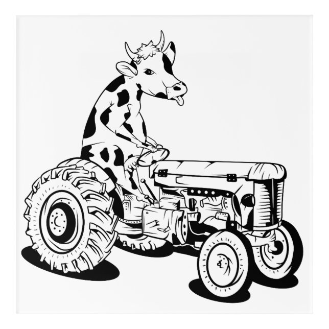 Funny cow on a tractor acrylic print (Front)