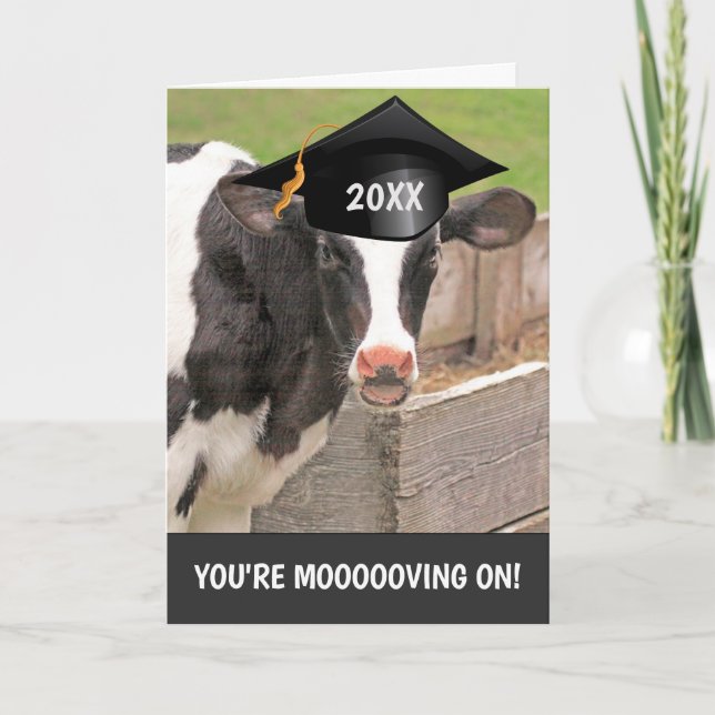 Funny Cow Pun Graduation Card (Front)
