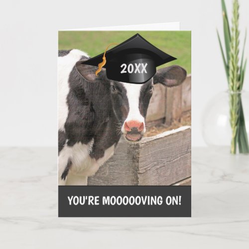 Funny Cow Pun Graduation Card