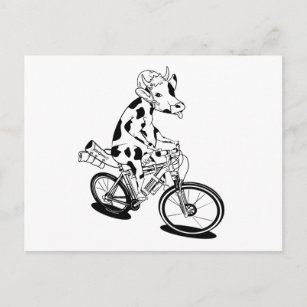Funny cow riding a bike postcard