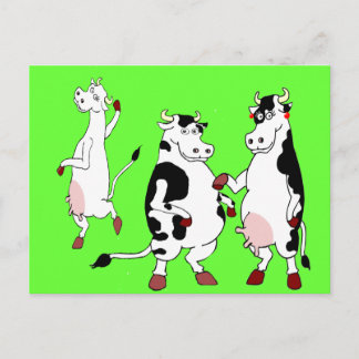 Funny cows cartoon postcard