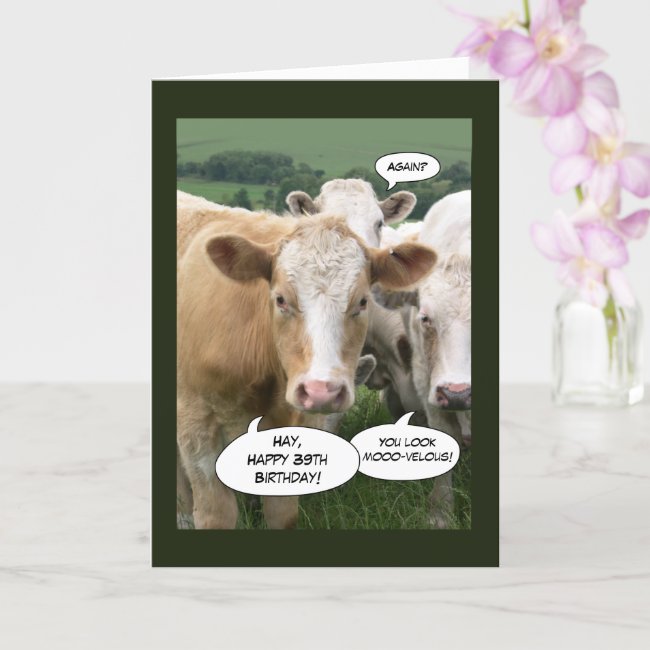 Funny Cows Happy Birthday for Her 39th Aging