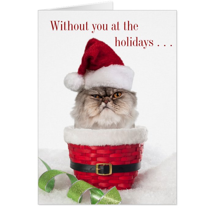 Funny Cranky Cat Christmas Cards