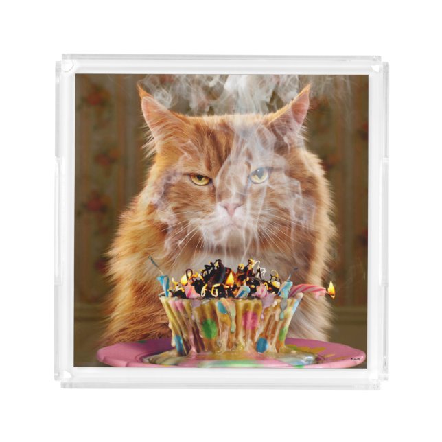 Funny Cranky Cat With Melted Birthday Cupcake Acrylic Tray (Front)