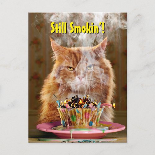 Funny Cranky Cat With Melted Birthday Cupcake Invitation Postcard