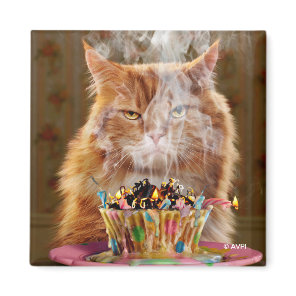 Funny Cranky Cat With Melted Birthday Cupcake Magnet