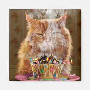 Funny Cranky Cat With Melted Birthday Cupcake Magnet