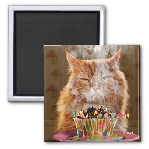 Funny Cranky Cat With Melted Birthday Cupcake Magnet