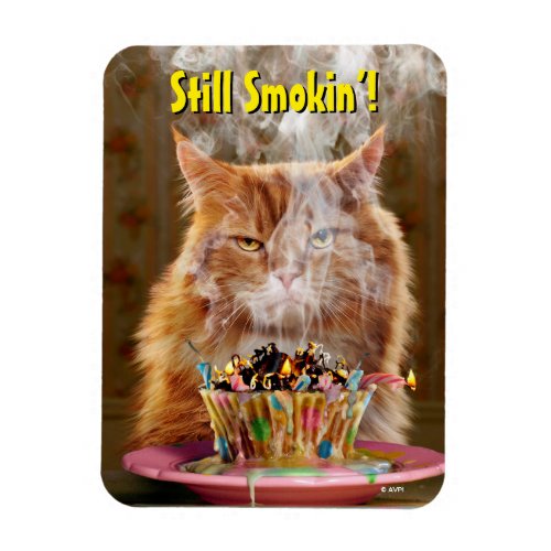 Funny Cranky Cat With Melted Birthday Cupcake Magnet