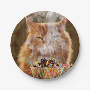 Funny Cranky Cat With Melted Birthday Cupcake Paper Plates
