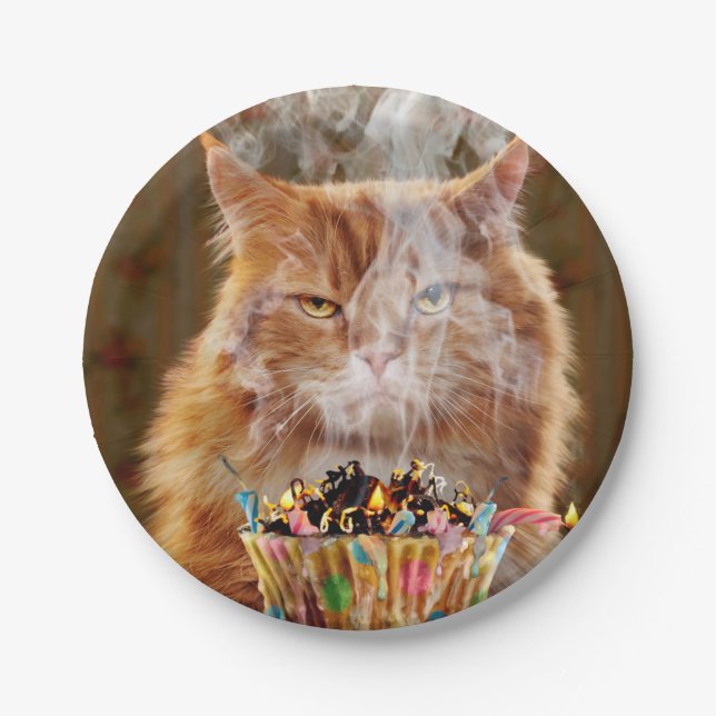 Funny Cranky Cat With Melted Birthday Cupcake Paper Plates (Front)