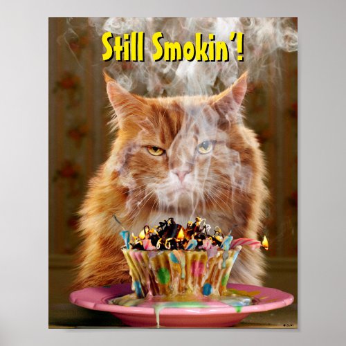 Funny Cranky Cat With Melted Birthday Cupcake Poster