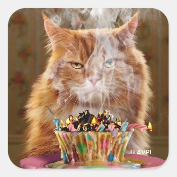 Funny Cranky Cat With Melted Birthday Cupcake Square Sticker by AvantiPress at Zazzle