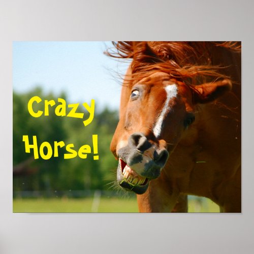 Funny Crazy Horse Animal Poster