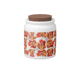Funny Cream Dachshund Christmas Pattern Candy Jar