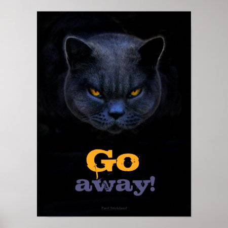 Funny Cross Cat Says Go Away Poster
