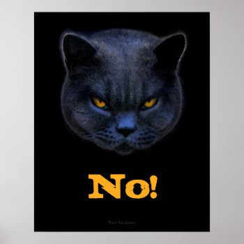 Funny Cross Cat Says No Poster by CrossCat at Zazzle