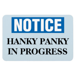 Funny Cruise Cabin Door Magnet - Hanky Panky