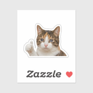 Funny Crying Cat Thumbs Up Meme Graphic Sticker