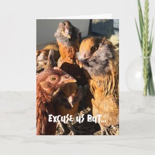 Funny Curious Amber Brown Chickens Close-Up Photo  Card