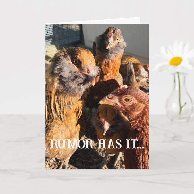 Funny Curious Amber Brown Chickens Close-Up Photo  Card (Small Plant)