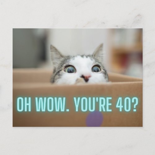 Funny Curious Cat 40th Birthday Postcard