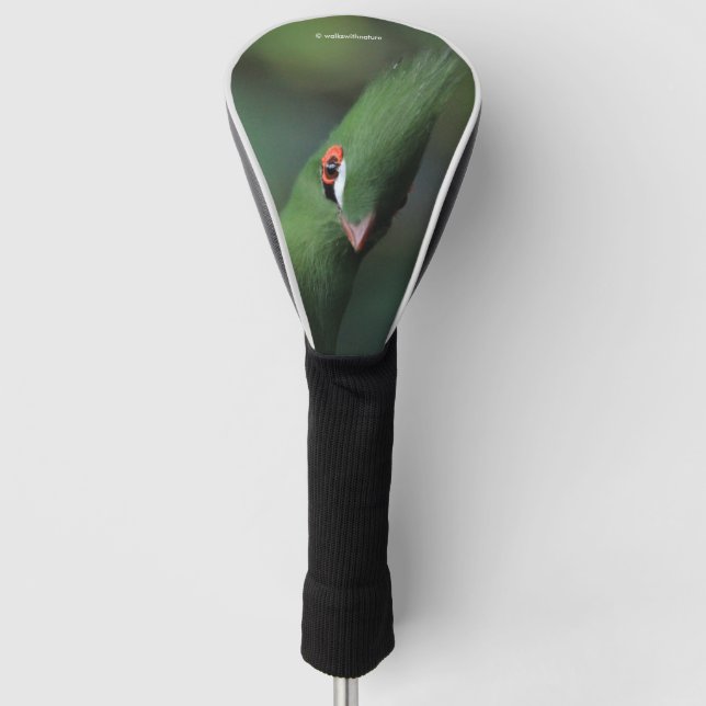 Funny Curious Guinea Turaco Green Bird Golf Head Cover (Front)