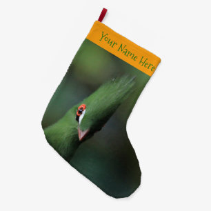Funny Curious Guinea Turaco Green Bird Large Christmas Stocking