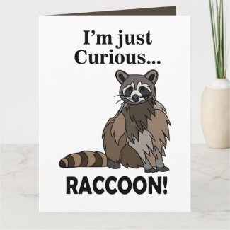 Funny Curious Raccoon Card